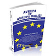 Avrupa ve Avrupa Birlii Teori, Gncel  Gelimeler ve D likiler Sava Yaynlar