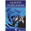 Maviyi Toplamak Arkada Yaynlar