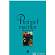 Pastoral Amerika Ayrnt Yaynlar