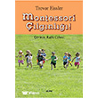 Montessori Alfa Yaynlar