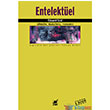 Entelektel Ayrnt Yaynlar