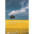 Darlma Bana Profil Kitap