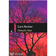 Canl Renkler Profil Kitap