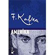 Amerika teki Yaynevi