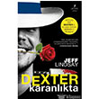 Dexter Karanlkta Artemis Yaynlar