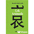 ok Aramzda zdiham Yaynlar
