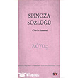 Spinoza Szl Say Yaynlar
