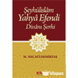 eyhlislam Yahya Efendi Divan erhi Akl Fikir Yaynlar