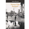 Nereye Gitti stanbul? Yap Kredi Yaynlar