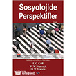 Sosyolojide Perspektifler Say Yaynlar