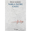 Narla ncire Gazel Metis Yaynlar
