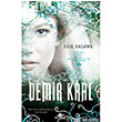 Demir Kral Pegasus Yaynlar