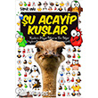 u Acayip Kular Uurbcei Yaynlar
