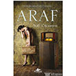 Araf Pegasus Yaynlar