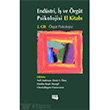Endstri  ve rgt Psikolojisi El Kitab 2. Cilt rgt Psikolojisi Literatr Yaynclk Akademik Kitap