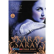 Kara Saray Artemis Yaynlar