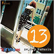 13 Artemis Yaynlar
