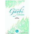Sunullah  Gaybi Divan H Yaynlar
