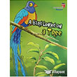A Bird Landed On A Tree - Respect; Stories With The Phoenix Edam Eitim Danmanl