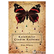 Kelebekler izdim Kalbime Feniks Kitap Yaynlar