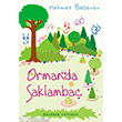 Ormanda Saklamba zyrek Yaynlar