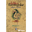 Deliler ve Flamingolar z Yaynclk