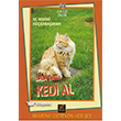 Baba Bana Kedi Ali Bulut Yaynlar