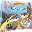 3D Okyanus Pop Up Mandolin Yaynlar