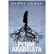 Penne Arabbiata Cinius Yaynlar