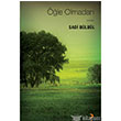le Olmadan ykler Cinius Yaynlar