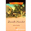 Zavall Necdet Palet Yaynlar