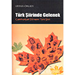 Trk iirinde Gelenek Palet Yaynlar