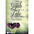 Siyah Lale Sosyal Yaynlar