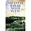 Aslanta Baraj Neler Yuttu Cinius Yaynlar