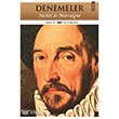 Denemeler Tilki Kitap