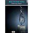 Buz Tutan Ate Tilki Kitap