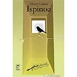 spinoz Telos Yaynclk