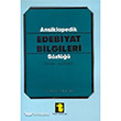 Ansiklopedik Edebiyat Bilgileri Szl Toker Yaynlar