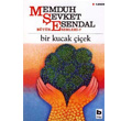 Bir Kucak iek Bilgi Yaynevi