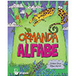 Ormanda Alfabe Uanbalk Yaynlar