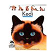 İlk Kitaplarım Kedi Marsık Kitap