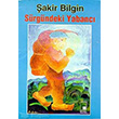 Srgndeki Yabanc Pencere Yaynlar