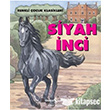 Siyah nci Trkiye  Bankas Kltr Yaynlar