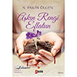 Akn Rengi Eflatun Puslu Yaynclk