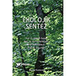 Ekolojik Sentez  Palme Yaynevi