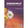Mesnevi Trk Edebiyat Vakf Yaynlar