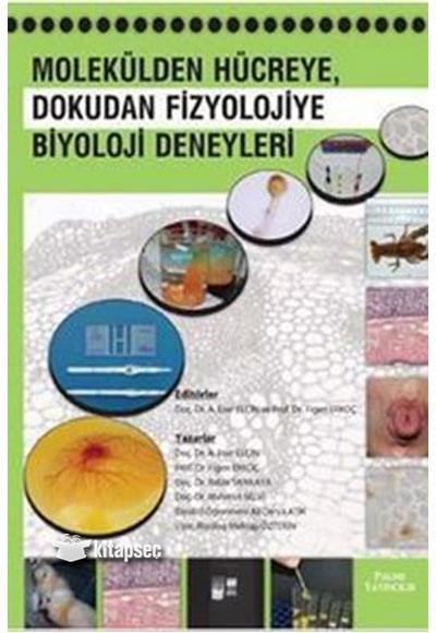 Definename Mitos Boyut Yaynlar