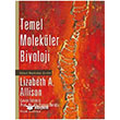 Temel Molekler Biyoloji Palme Yaynevi