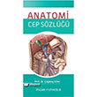 Anatomi Cep Szl Palme Yaynevi