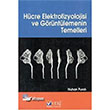 Hcre Elektrofizyolojisi Ve Grntlemenin Temelleri Palme Yaynevi